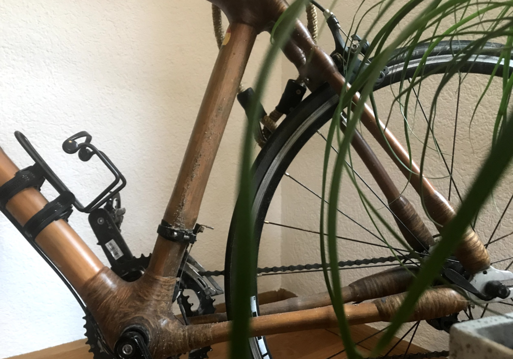 Bambus Fahrrad